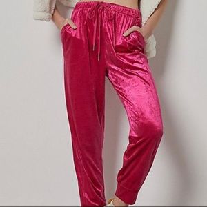 NWT Anthropologie Velour Jogger